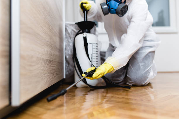 Best Wasp Removal Services  in Arnold, MD