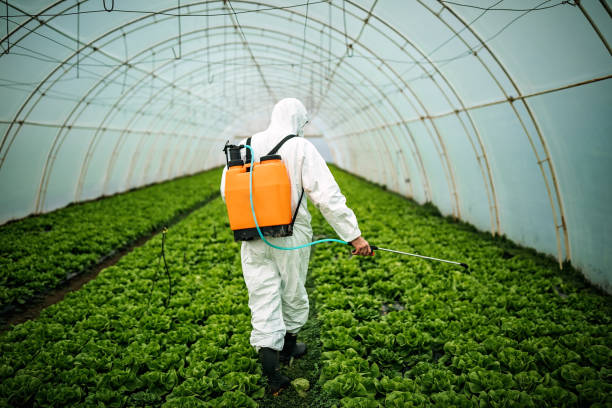 Best Affordable Pest Control Services  in Arnold, MD